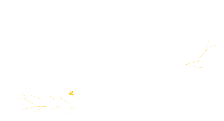 spring/spring